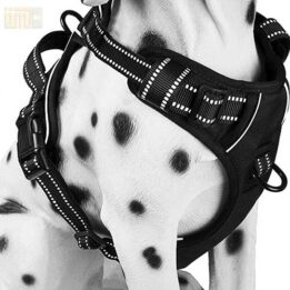 Pet Factory wholesale Amazon Ebay Wish hot large mesh dog harness 109-0001 petclothesfactory.com