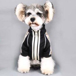 2020 Dog Coat Spring Autumn Pet Clothing Small Designer Dog Clothes petclothesfactory.com