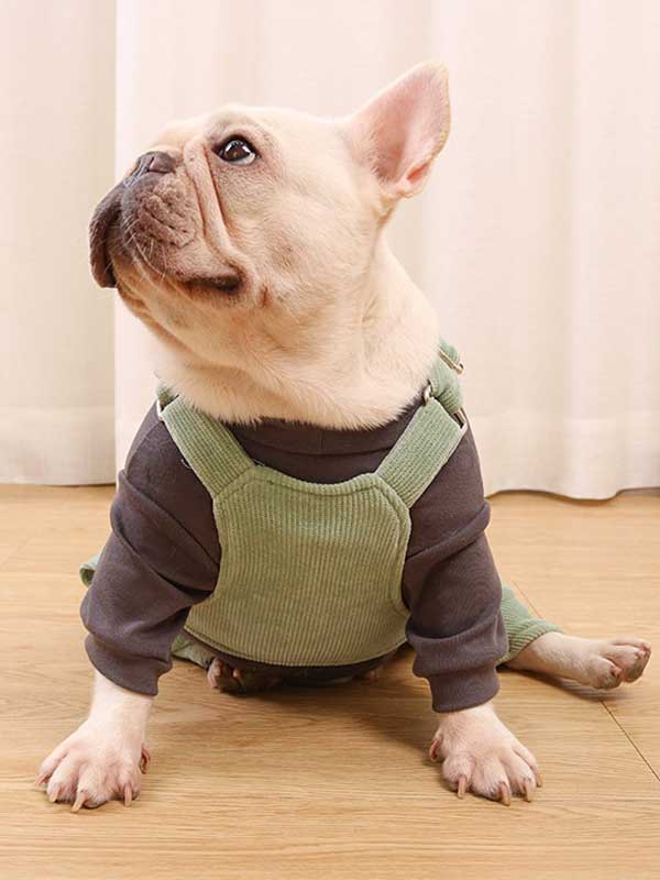 GMTPET French fighting clothes high elastic comfortable solid color plus velvet thick bottoming shirt T-shirt bulldog dog clothes 107-222016 petclothesfactory.com