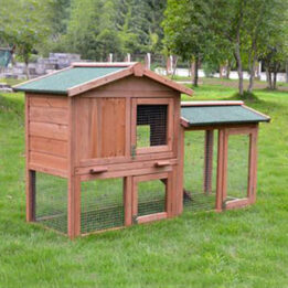 Gallinero: gallinero de madera