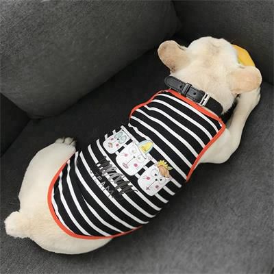 Leisure Stripe Vest: Pure Cotton Dog Clothes 06-0508 Dog Clothes: Shirts, Sweaters & Jackets Apparel cat and dog clothes