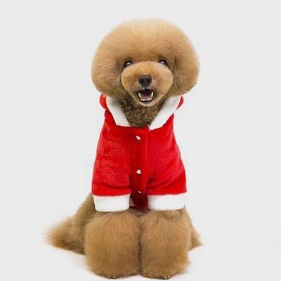 Import Dog Clothes: Fleece Christmas Pet Clothes 06-1042 Dog Clothes: Shirts, Sweaters & Jackets Apparel cat and dog clothes