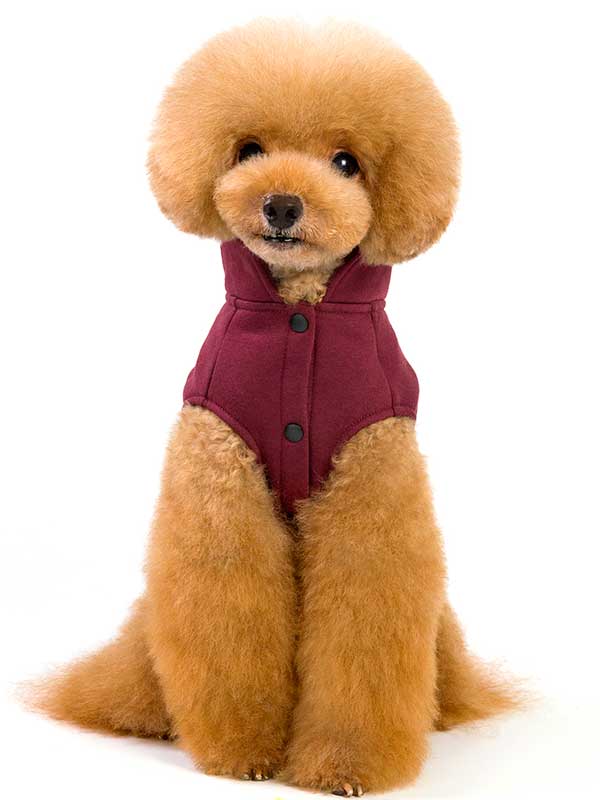 GMTPET Pet Products Factory OEM Wholesale Two-Leg Dog Coat Solid Color Fleece Dog Coat Novel 06-1050 Dog Clothes: Shirts, Sweaters & Jackets Apparel Clothes dog
