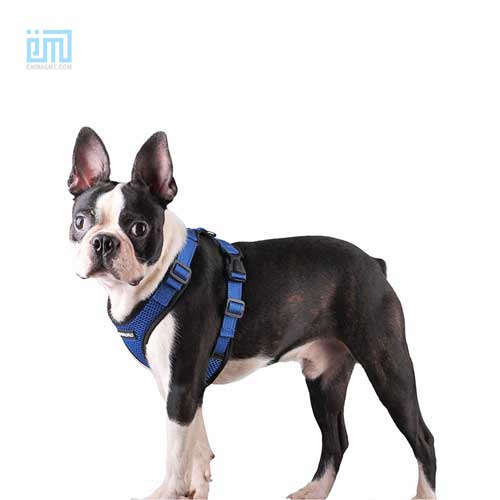 wholesale custom adjustable dog chest harness 109-0002-4