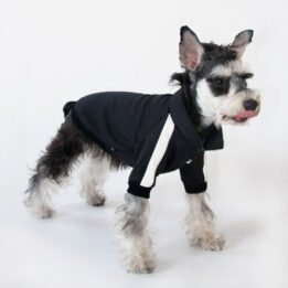 Sport Pet Clothes Custom Fashion Dog BomberJacket Blank Dog Clothes petclothesfactory.com