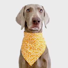2020 New Custom Summer Triangle Bandana Personalized Pet Accessories Cat Dog Triangle Scarf Pet products factory wholesaler, OEM Manufacturer & Supplier petclothesfactory.com