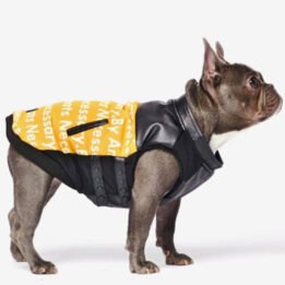 Pet Dog Clothes Vest Padded Dog Jacket Cotton Clothing for Winter petclothesfactory.com