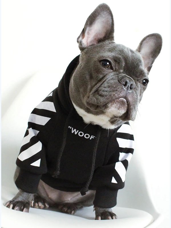 Dog Clothes: Luxury Custom Fashion Winter Designers Hoodie 06-1396