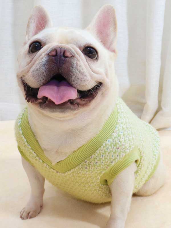 GMTPET Thickened autumn and winter fat dog short body bulldog pug dog lady plush rich rich French fighting clothes v-neck vest vest 107-222012 petclothesfactory.com