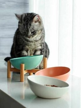 Tigelas de comida para gatos com boca inclinada de cerâmica alta e estrutura de madeira por atacado 123-12006 petclothesfactory.com